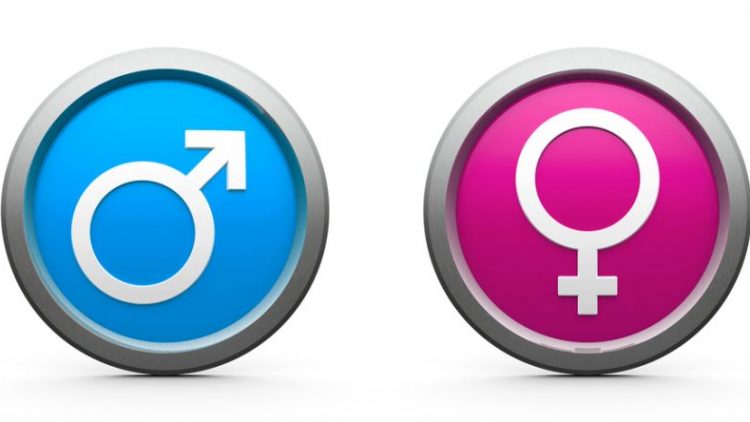 Girişimcinin başarısı profesyonelliğe bağlı…